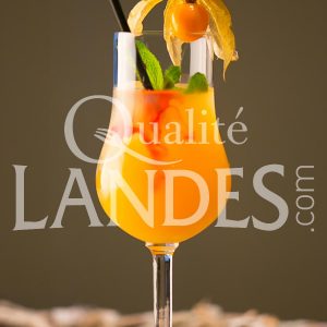 Recette de Cocktail Floc de Gascogne Lou Gascoun