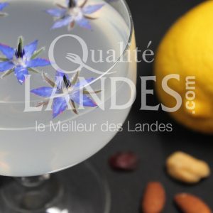 7B505-Floc Lemonache ©Qualité Landes (1)