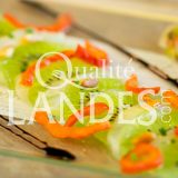Tartare de St Jacques et Kiwi de l'Adour