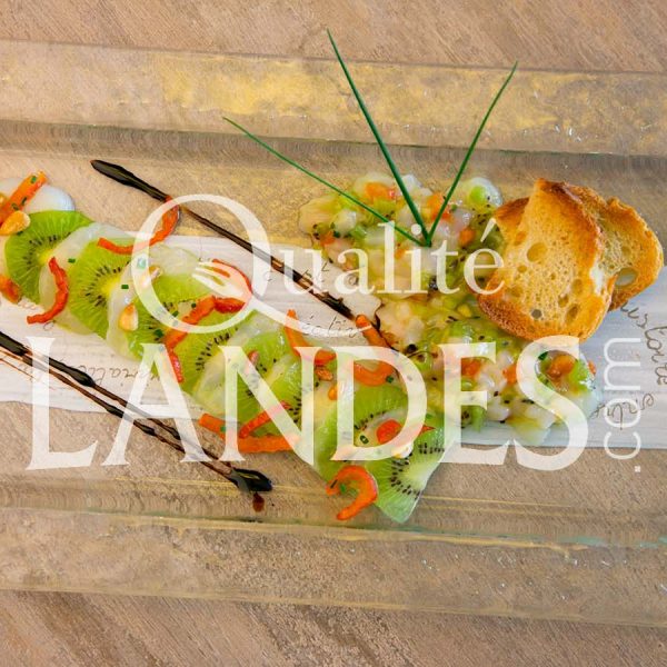 Tartare de St Jacques et Kiwi de l'Adour Tartare de St Jacques et Kiwi de l'Adour
