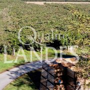 Verger de Kiwi de l'Adour IGP - Label Rouge