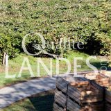 Verger de Kiwi de l'Adour IGP - Label Rouge