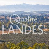 Verger de Kiwi de l'Adour IGP - Label Rouge