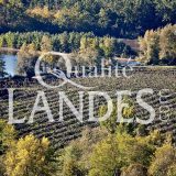 Verger de Kiwi de l'Adour IGP - Label Rouge
