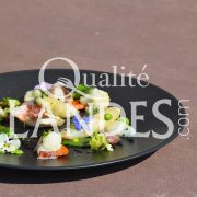 Recette d'Asperge des Sables des Landes IGP, menestra de petits légumes et rouget grondin
