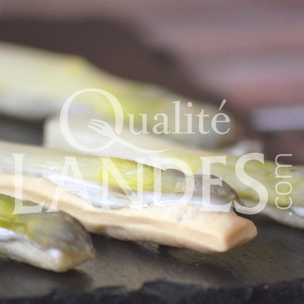Recette de Finger d'Asperges des Sables des Landes IGP et crème de roquefort Recette de Finger d'Asperges des Sables des Landes IGP et crème de roquefort