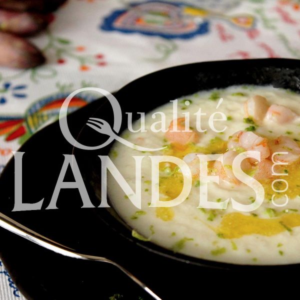 Recette de Gaspacho d'Asperge des Sables des Landes IGP, crevettes et citron vert Recette de Gaspacho d'Asperge des Sables des Landes IGP, crevettes et citron vert