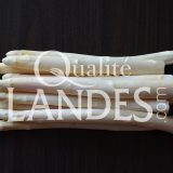 Asperges des Sables des Landes IGP