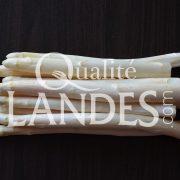 Asperges des Sables des Landes IGP