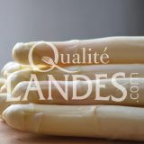 Asperges des Sables des Landes IGP