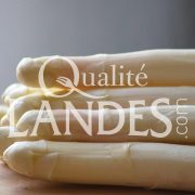 Asperges des Sables des Landes IGP