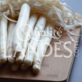 Asperges des Sables des Landes IGP