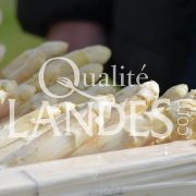 Asperges des Sables des Landes IGP