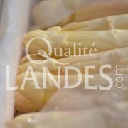 Asperges des Sables des Landes IGP