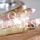 Asperges des Sables des Landes IGP