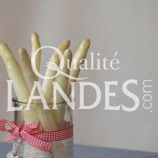 Asperges des Sables des Landes IGP Asperges des Sables des Landes IGP