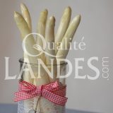 Asperges des Sables des Landes IGP