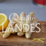 Asperges des Sables des Landes IGP