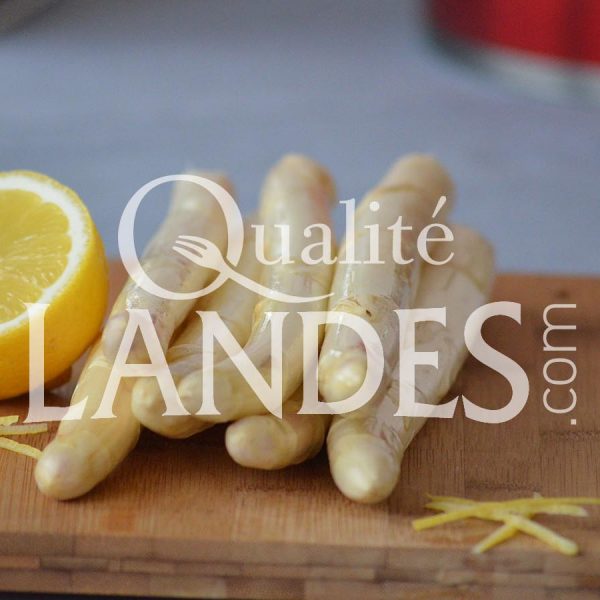 Asperges des Sables des Landes IGP