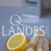 Asperges des Sables des Landes IGP