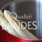 Asperges des Sables des Landes IGP