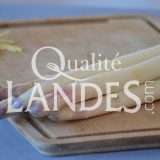 Asperges des Sables des Landes IGP