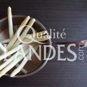 Asperges des Sables des Landes IGP