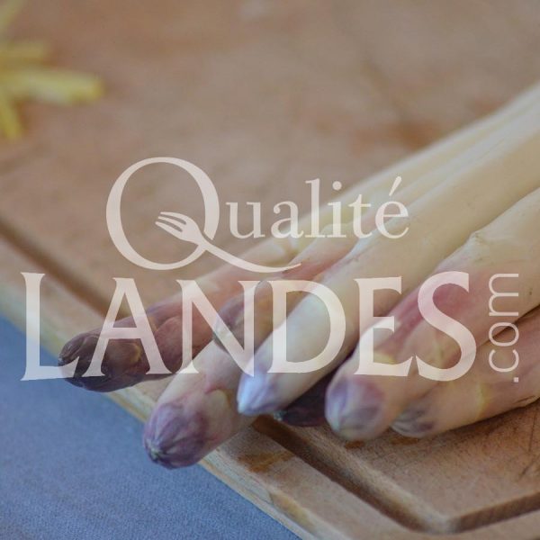 Asperges des Sables des Landes IGP Asperges des Sables des Landes IGP