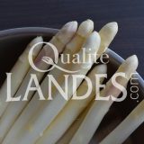 Asperges des Sables des Landes IGP