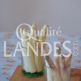 Asperges des Sables des Landes IGP