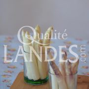 Asperges des Sables des Landes IGP