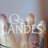 Asperges des Sables des Landes IGP