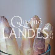 Asperges des Sables des Landes IGP