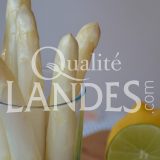 Asperges des Sables des Landes IGP
