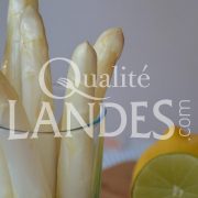 Asperges des Sables des Landes IGP