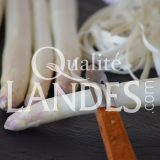 Asperges des Sables des Landes IGP