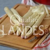 Asperges des Sables des Landes IGP
