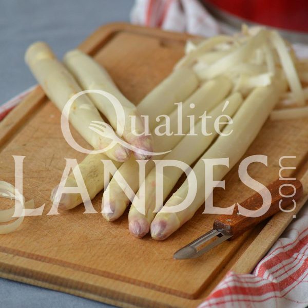Asperges des Sables des Landes IGP Asperges des Sables des Landes IGP