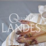 Asperges des Sables des Landes IGP