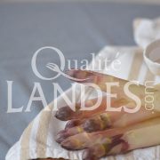 Asperges des Sables des Landes IGP