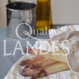 Asperges des Sables des Landes IGP