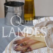Asperges des Sables des Landes IGP