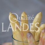 Asperges des Sables des Landes IGP