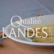 Asperges des Sables des Landes IGP