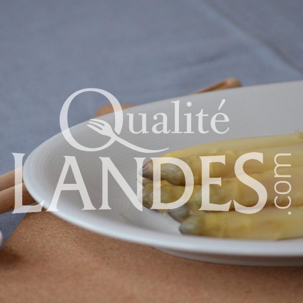 Asperges des Sables des Landes IGP Asperges des Sables des Landes IGP
