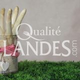 Asperges des Sables des Landes IGP