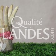 Asperges des Sables des Landes IGP
