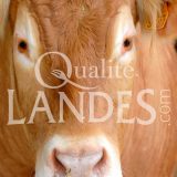 Boeuf de Chalosse IGP - Label Rouge