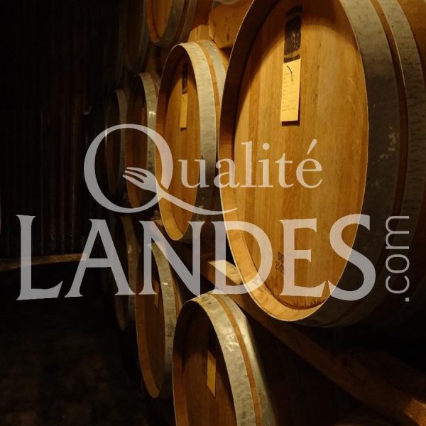 Armagnac AOC en fût Armagnac AOC en fût