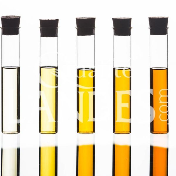 Armagnac AOC Armagnac AOC